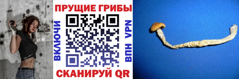 маркетплейс как зайти  Омутнинск  Галлюциногенные грибы мицелий  купить наркоту 